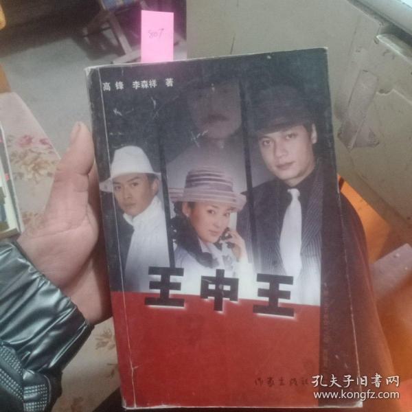 王中王資料一肖中天，深度解析與探索，王中王資料一肖中天，深度剖析與探索