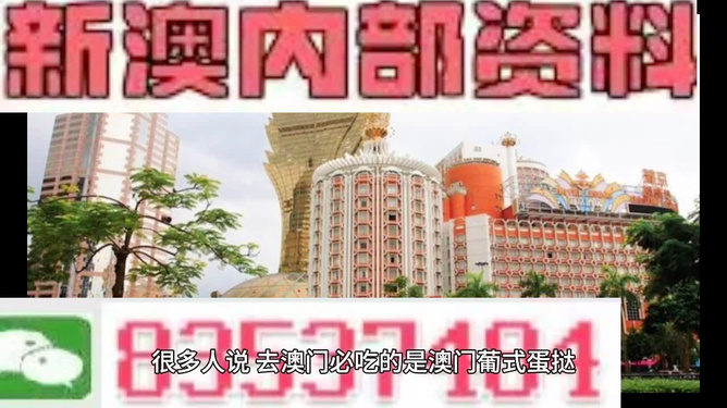 新澳門三中三碼精準(zhǔn)預(yù)測，揭秘成功概率背后的秘密與策略（附詳細(xì)解析），揭秘新澳門三中三碼成功預(yù)測背后的秘密與策略解析