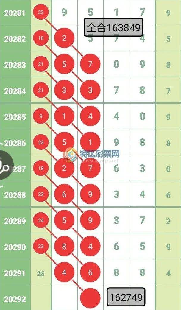 王中王四選一肖中特，深度解析與探索，王中王四選一肖中特深度解析與探索揭秘