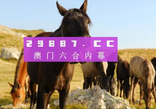 澳門管家婆一肖一碼一中一，揭秘與解析，澳門管家婆一肖一碼揭秘與解析