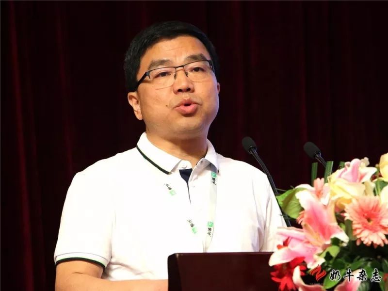 王中王一平特肖，揭秘第100期的秘密與策略，揭秘第100期秘密與策略，王中王一平特肖獨(dú)家解析