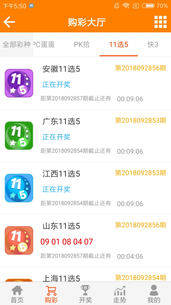 王中王資料一肖一特，深度解析與探索，王中王資料一肖一特，深度解析與探索揭秘