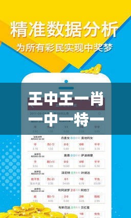 王中王欲錢詩(shī)猜一首肖，探尋神秘文化背后的故事與奧秘，王中王欲錢詩(shī)探秘，生肖文化背后的故事與奧秘