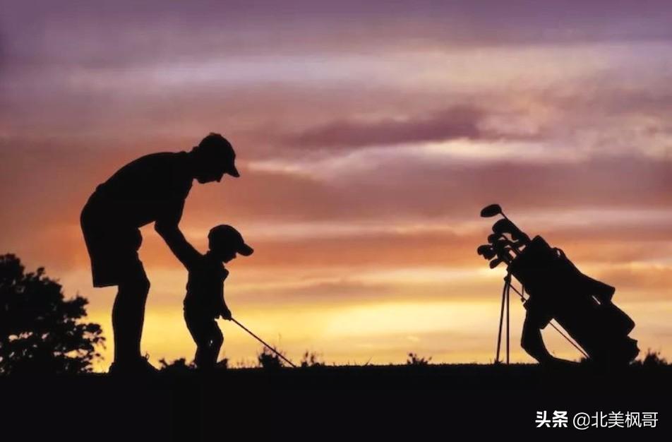森林高手王中王與神秘生肖——深度解讀背后的故事與秘密，森林高手王中王與神秘生肖，故事背后的深度解讀與秘密探尋