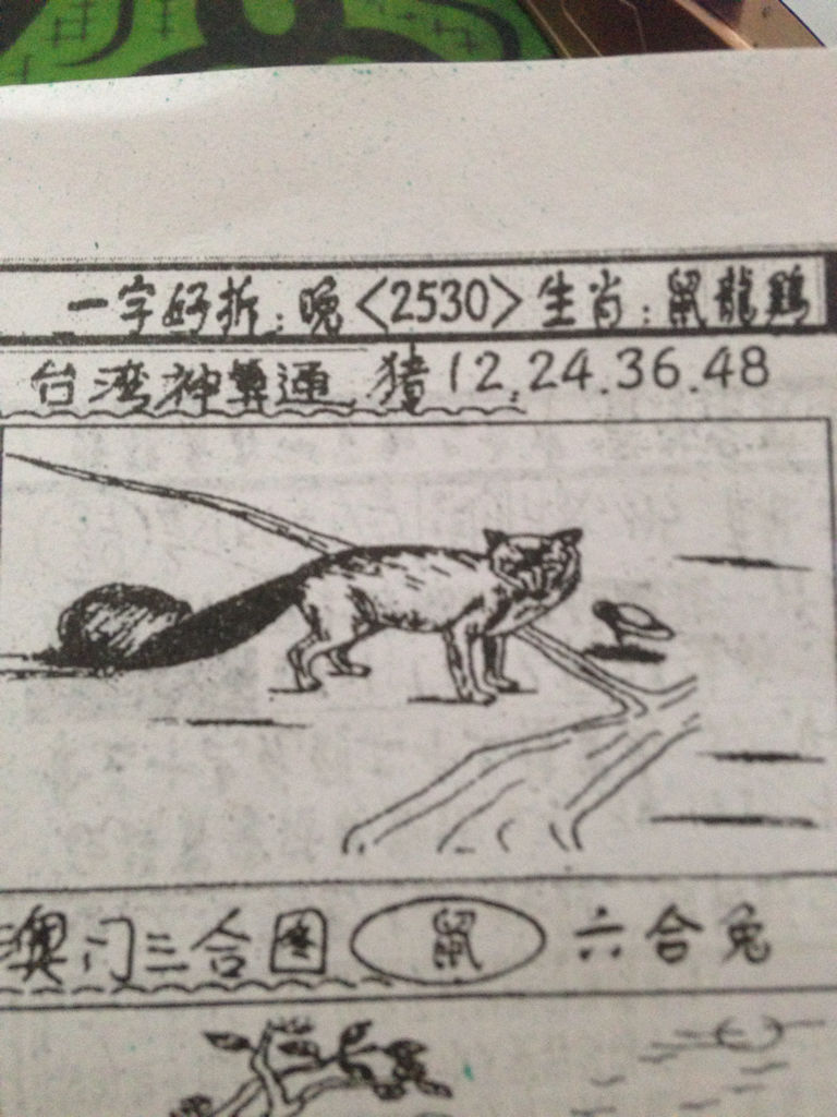 揭秘生肖奧秘，看圖猜一生肖劉伯溫的傳奇故事，揭秘生肖奧秘，劉伯溫傳奇故事中的生肖之謎探索
