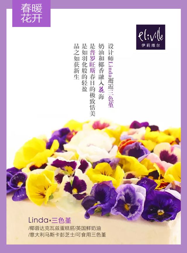 王中王339期指一生肖——探尋背后的秘密與玄機(jī)，探尋王中王339期生肖背后的秘密與玄機(jī)