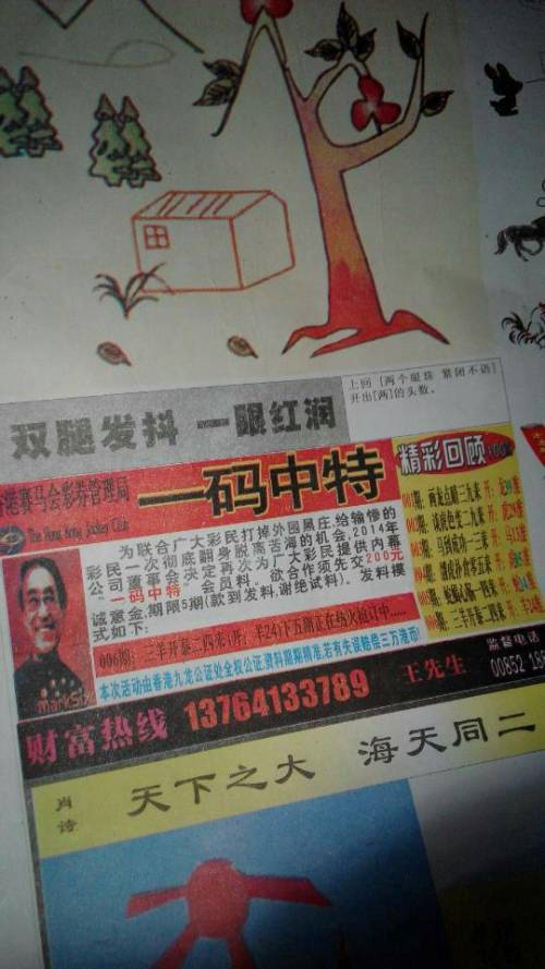 欲錢(qián)詩(shī)猜一肖——探尋王中王的奧秘，探尋王中王的奧秘，欲錢(qián)詩(shī)猜一肖