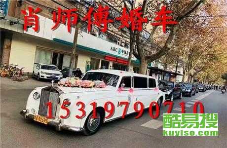 王中王車奪平特一肖免費(fèi)——深度解析與探索，王中王車奪平特一肖，深度解析與免費(fèi)探索