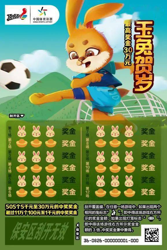 王中王一肖中特兔費(fèi)，探索關(guān)鍵詞背后的奧秘，探索關(guān)鍵詞王中王一肖中特兔費(fèi)背后的奧秘