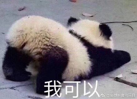 揭秘劉伯溫特一肖與四不像的神秘面紗——探尋背后的故事與真相，劉伯溫特一肖與四不像背后的故事與真相揭秘