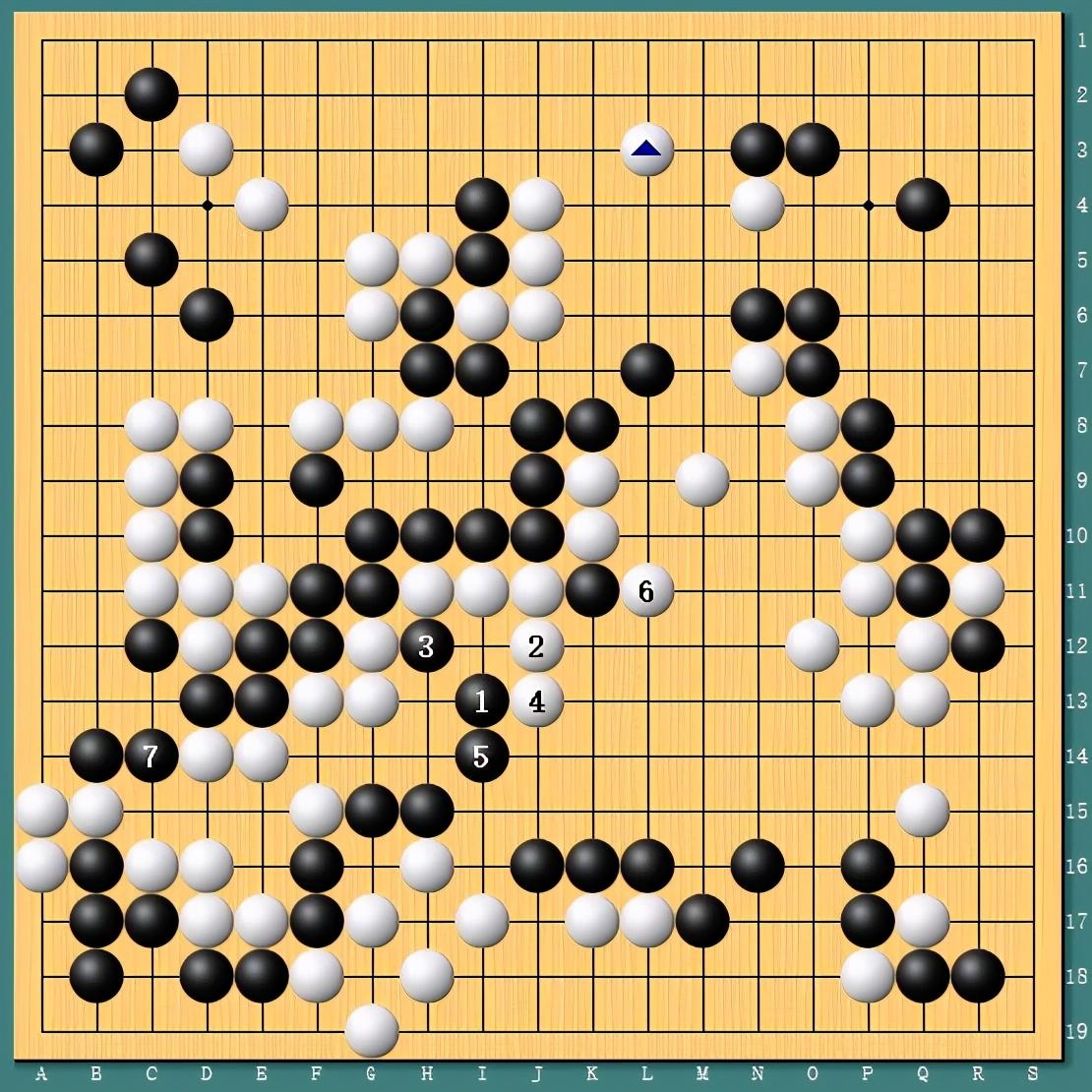 王中王四肖一碼資料論壇，探索與解析，王中王四肖一碼資料論壇，深度探索與解析