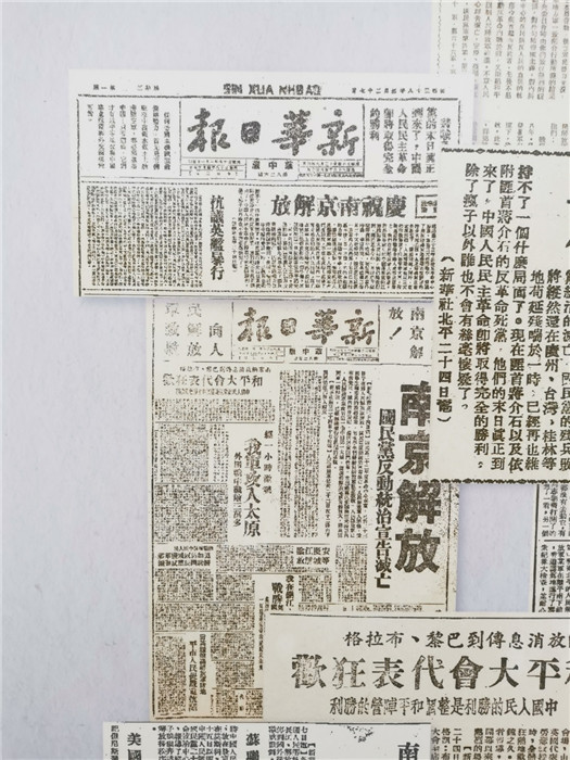 探索最新跑狗圖2025高清圖片，最新資訊與獨特魅力，最新跑狗圖2025高清圖片揭秘，資訊魅力一網(wǎng)打盡！