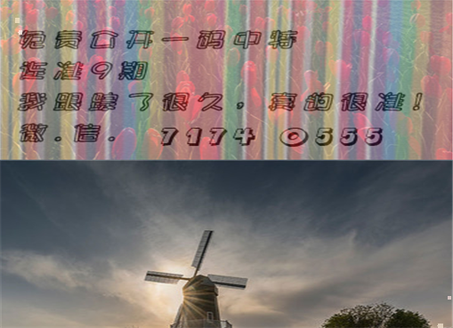 王中王四肖三期必出一期，揭秘彩票背后的秘密策略與技巧，揭秘彩票策略與技巧，王中王四肖三期必出一期之道