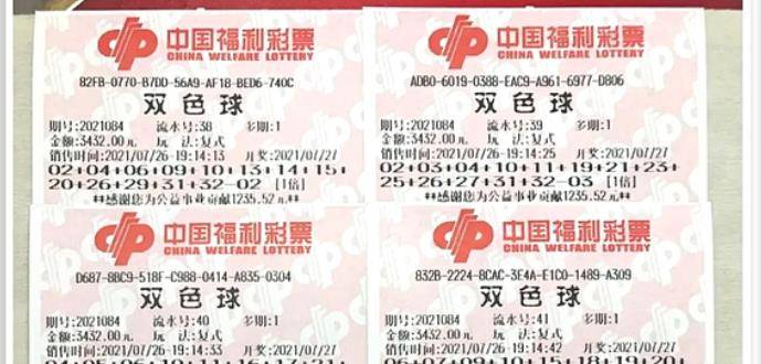 王中王084期指一生肖，解讀背后的秘密與生肖運(yùn)勢分析，王中王084期生肖揭秘，秘密解讀與運(yùn)勢展望