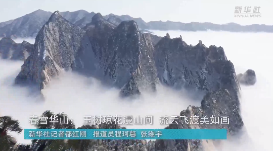 澳門最精準(zhǔn)龍門，探索真正的精準(zhǔn)之道，澳門最精準(zhǔn)龍門，揭秘真正的精準(zhǔn)之道