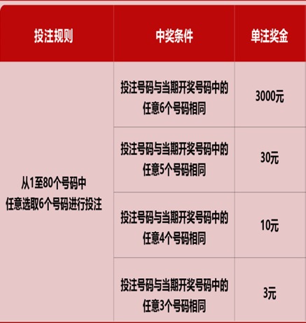 新澳門六開彩天天開獎結果，揭秘彩票背后的秘密，揭秘新澳門六開彩天天開獎背后的秘密