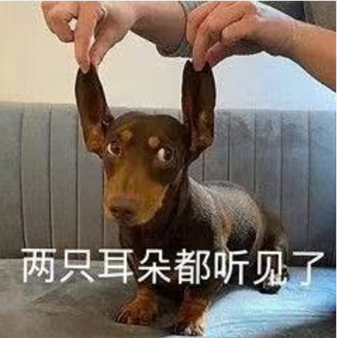 王中王四不象必中一肖，揭秘背后的秘密與策略，揭秘王中王四不象必中一肖背后的秘密與策略之道