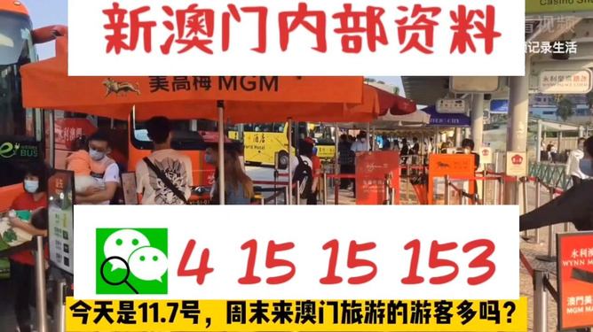 新澳今晚上9點(diǎn)30分的魅力瞬間與精彩展望，新澳之夜，9點(diǎn)30分的魅力瞬間與精彩展望