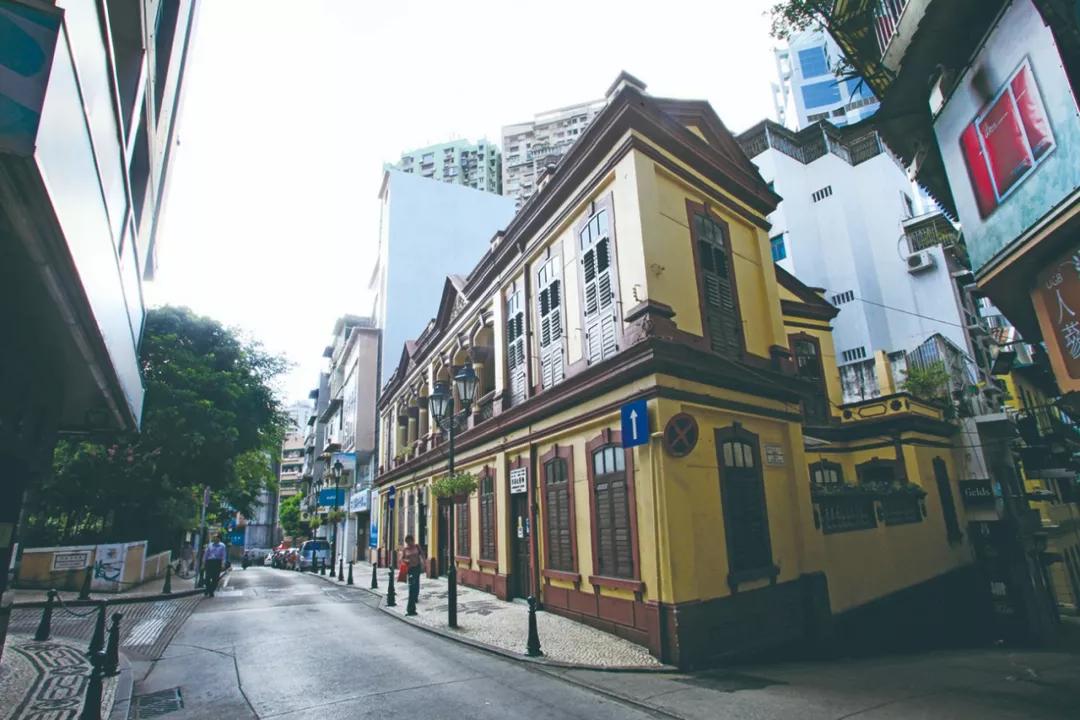 新澳門一肖單像——揭秘生肖彩票的奧秘，揭秘新澳門生肖彩票奧秘，一肖單像探秘