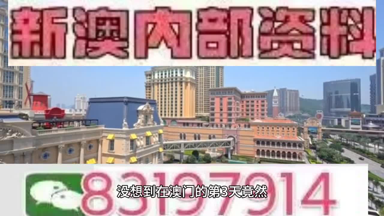 新澳門今晚必開一肖一特，探索生肖與特碼的魅力，澳門生肖特碼探索，今晚必開一肖一特之魅力