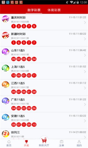 一碼一肖，揭秘背后的秘密與探索其獨特魅力，揭秘一碼一肖背后的秘密與獨特魅力探索