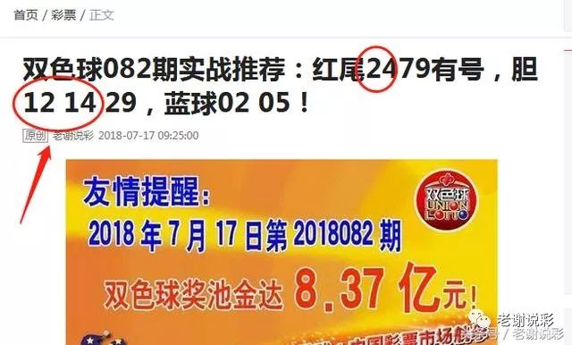 王中王082期指一生肖——探尋生肖魅力，洞悉運勢奧秘，探尋生肖魅力，揭秘運勢奧秘——王中王生肖運勢解析 082期