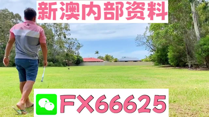 王中王一碼二肖，揭秘背后的秘密，揭秘王中王一碼二肖背后的秘密