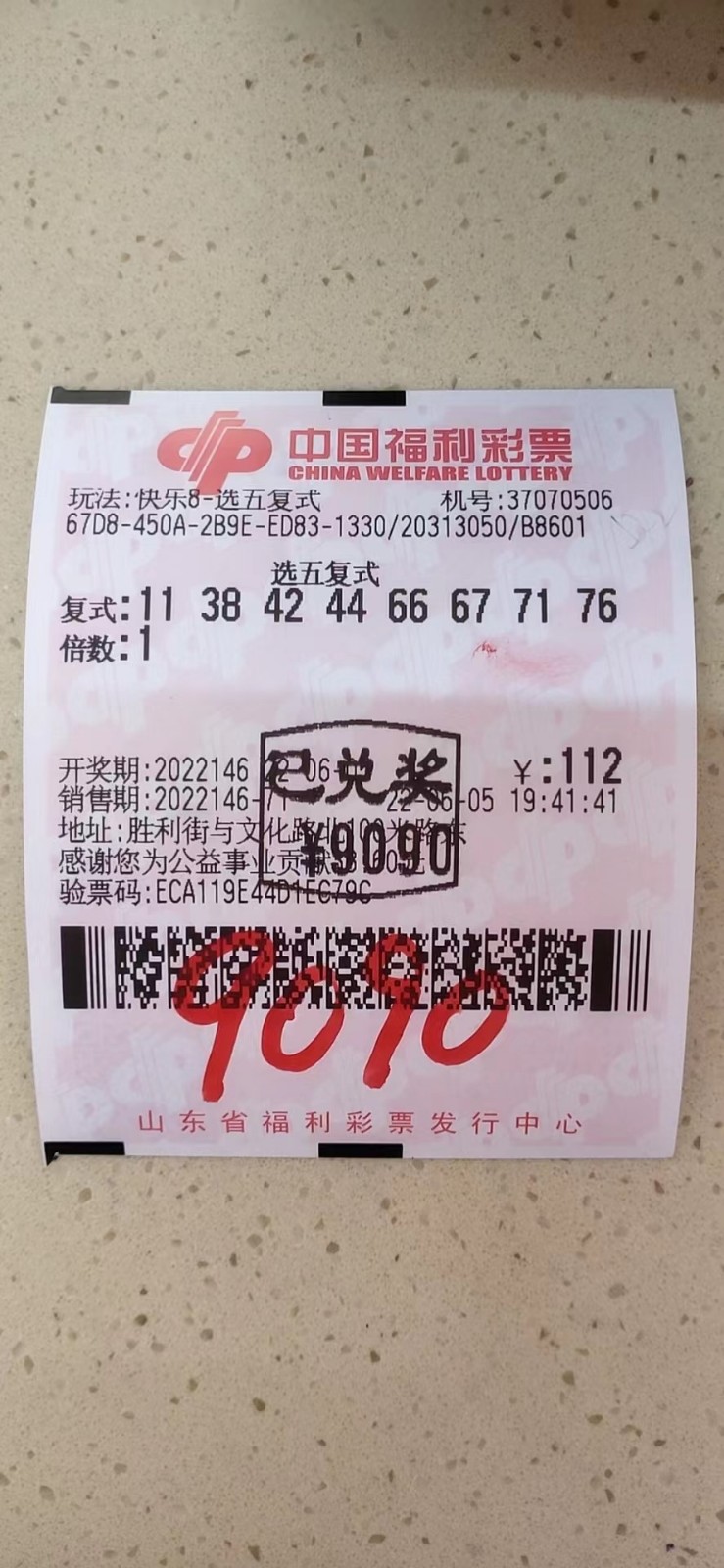 揭秘002期王中王平特一肖，背后的故事與奧秘，揭秘王中王平特一肖背后的故事與奧秘（第002期）