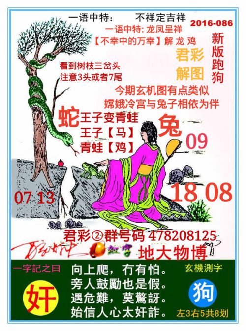 全新正版7777788888跑狗圖——你的選擇，成功的起點(diǎn)，正版跑狗圖7777788888——成功之路從這里起步