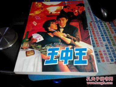 王中王資料一肖中特小說，深度解析與探索，王中王資料一肖中特小說的深度解析與探索之旅