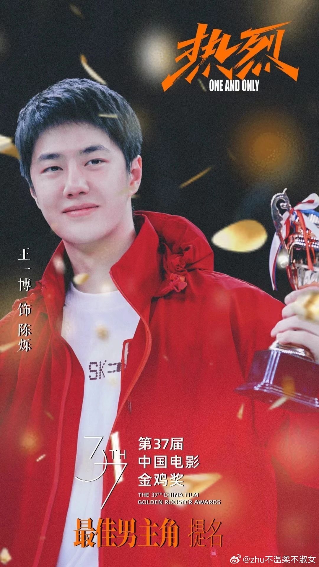 王中王一肖一特一中一中，探尋背后的故事與奧秘，探尋王中王一肖背后的故事與奧秘