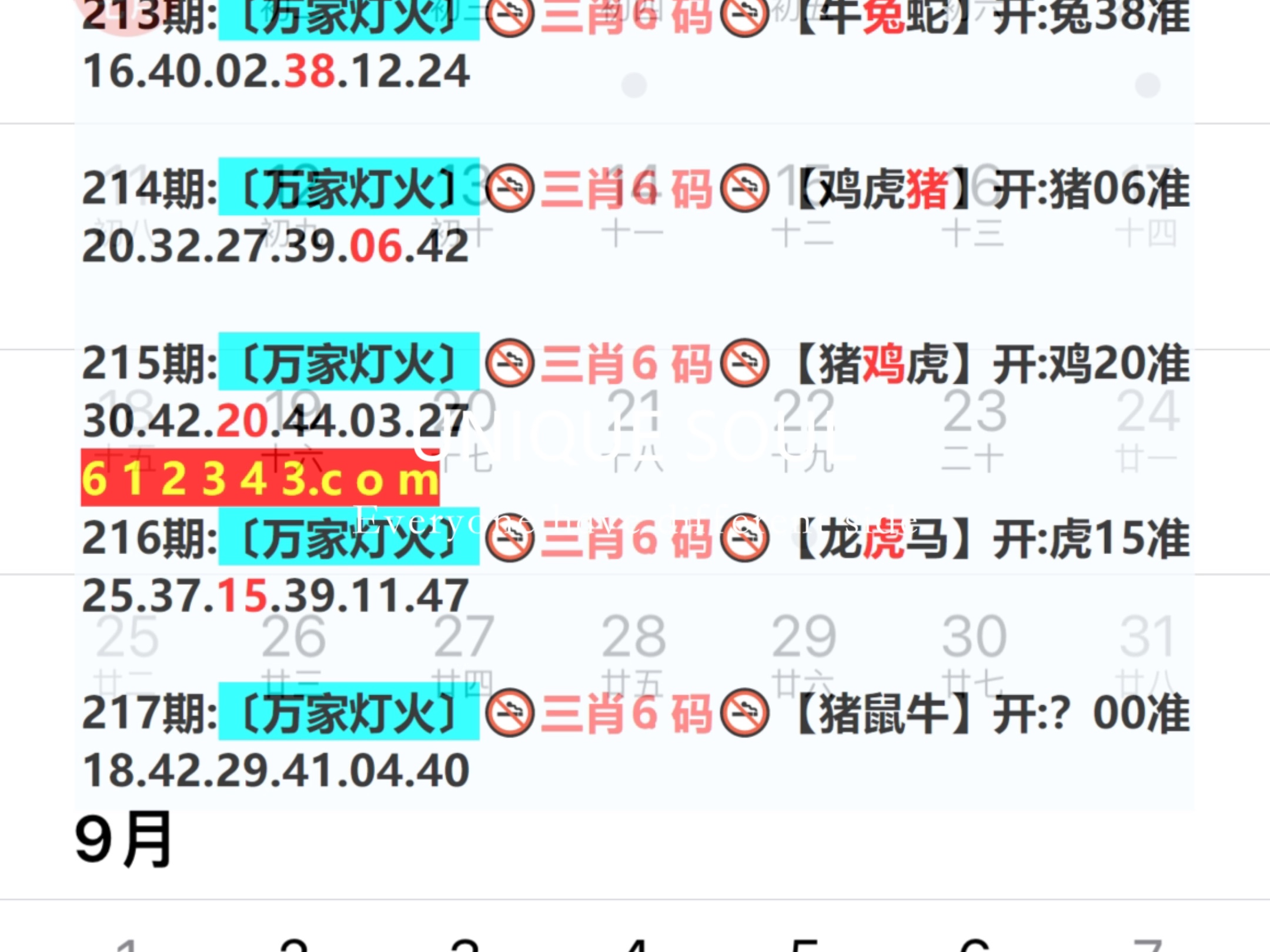 新奧今日六肖中特，揭秘背后的秘密與趨勢(shì)分析，揭秘新奧今日六肖中特背后的秘密與趨勢(shì)分析
