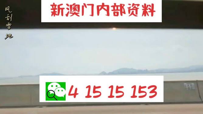 新澳2025最新資料生肖，深度解析與預(yù)測(cè)展望，新澳2025最新生肖資料深度解析與未來(lái)預(yù)測(cè)展望