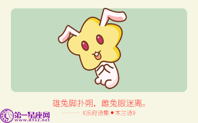 揭秘精準生肖，探尋神奇的數(shù)字組合777778與888888背后的生肖秘密，揭秘生肖秘密，數(shù)字組合777778與888888背后的生肖傳奇