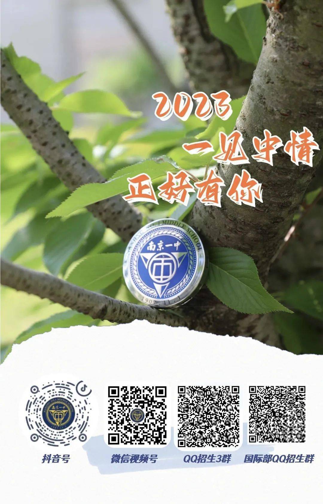 一碼一肖一特一中，揭秘背后的秘密與奧秘，揭秘一碼一肖一特一中背后的秘密奧秘