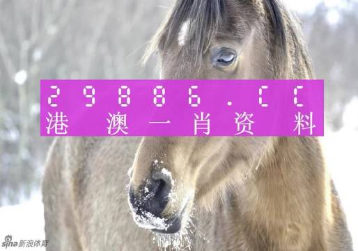 澳門一肖一碼，揭秘一個關于精準預測背后的故事，澳門一肖一碼揭秘，精準預測背后的神秘故事