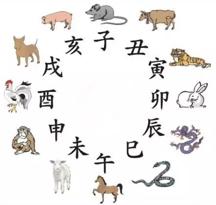澳門天天彩期期精準預測