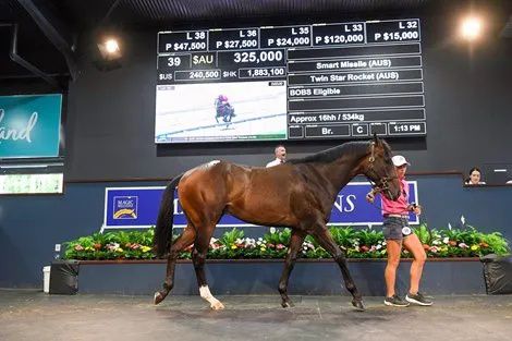 香港最精準的特馬資料，揭秘賽馬世界的秘密，香港精準特馬資料揭秘，賽馬世界的奧秘探秘
