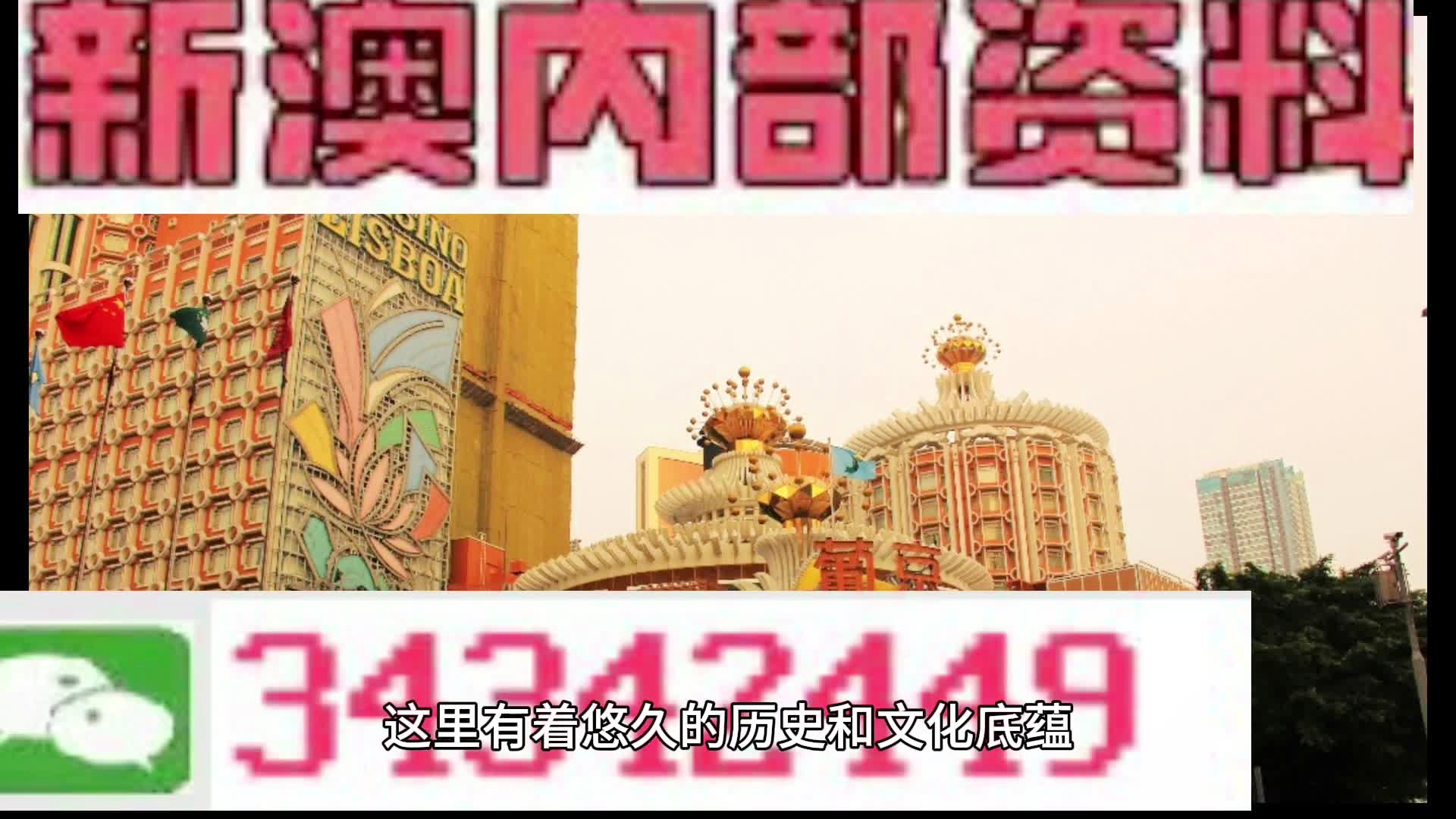 新門內(nèi)部資料大全免費(fèi)查詢——探索未知領(lǐng)域，獲取寶貴資源，新門內(nèi)部資料免費(fèi)探索，揭秘未知領(lǐng)域，獲取寶貴資源大全
