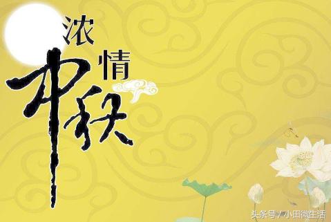 天天開(kāi)好彩免費(fèi)資料大全——你不可錯(cuò)過(guò)的幸運(yùn)之門(mén)，天天開(kāi)好彩免費(fèi)資料大全——開(kāi)啟幸運(yùn)之門(mén)的必備指南