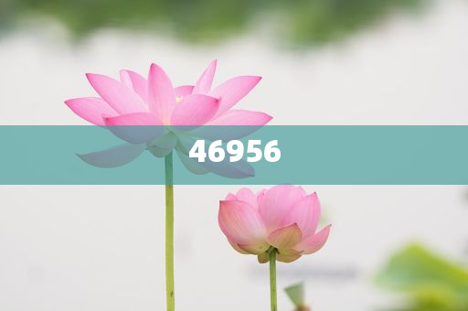 新奧集團，邁向2025，天天開好彩的愿景與挑戰(zhàn)，新奧集團邁向2025，實現(xiàn)天天開好彩的愿景與挑戰(zhàn)