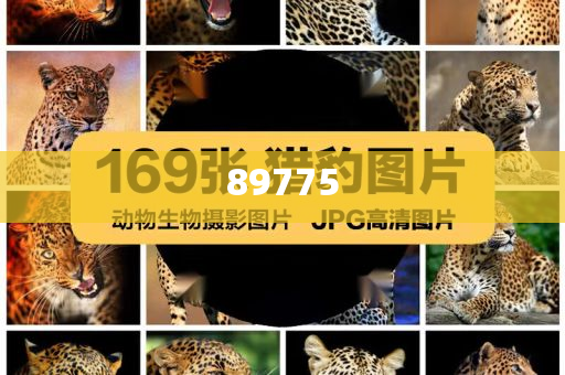 關(guān)于新奧歷史開獎(jiǎng)記錄的最新信息，今天公布了嗎？，新奧歷史開獎(jiǎng)記錄最新信息公布了嗎？
