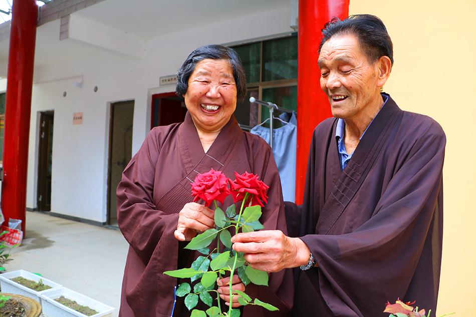 揭秘最準(zhǔn)一碼一肖，揭秘背后的秘密與真相，鳳凰網(wǎng)獨(dú)家報(bào)道，獨(dú)家揭秘，最準(zhǔn)一碼一肖背后的秘密真相（鳳凰網(wǎng)報(bào)道）