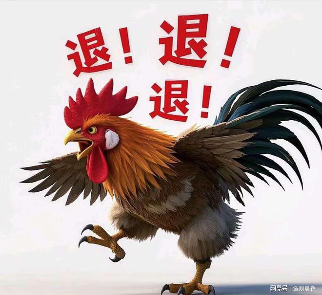 財經(jīng) 第11頁