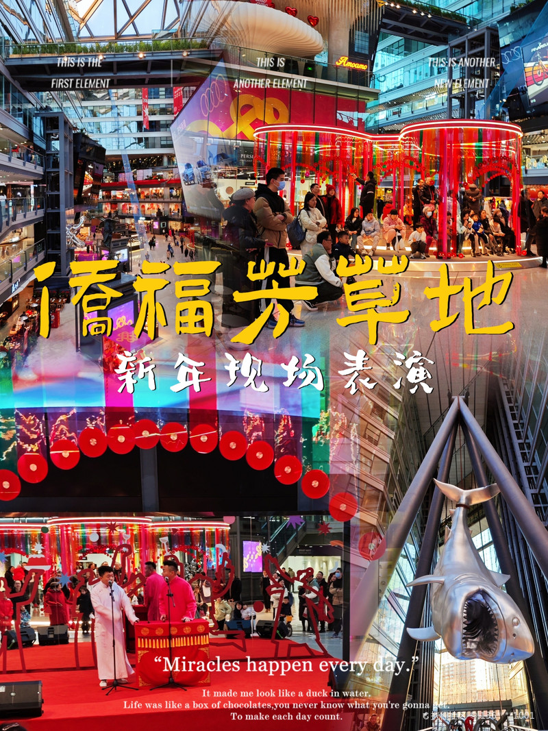 最新揭秘，2024新澳芳草地全方位資料詳解，揭秘2024新澳芳草地全方位資料，最新詳解