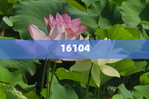 新奧600圖庫2025，探索與前瞻，新奧600圖庫2025，深度探索與未來展望