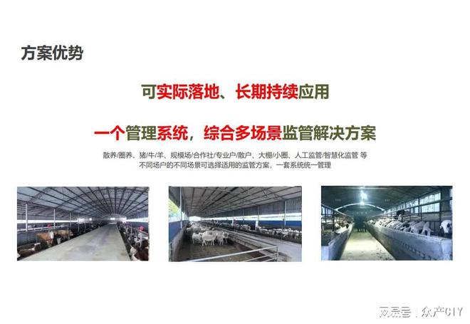 探索新澳芳草地，正版資料的免押之旅（2025年最新資訊），探索新澳芳草地，正版資料免押之旅（最新資訊）