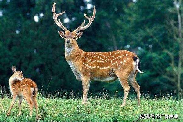 最新版本的6566cc澳彩資料大全介紹與特色功能解析，圖庫升級亮點一覽，最新6566cc澳彩資料大全介紹與特色功能解析，圖庫升級亮點全揭秘