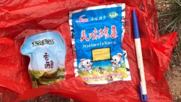 澳門最精準龍門，探索真實的精準之道，澳門最精準龍門，揭秘真實精準之道